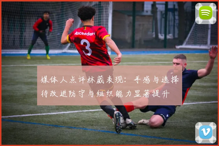 媒体人点评林葳表现：手感与选择待改进防守与组织能力显著提升
