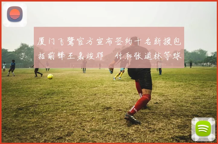 厦门飞鹭官方宣布签约十名新援包括前锋王嘉竣邓棽竹和张道林等球员