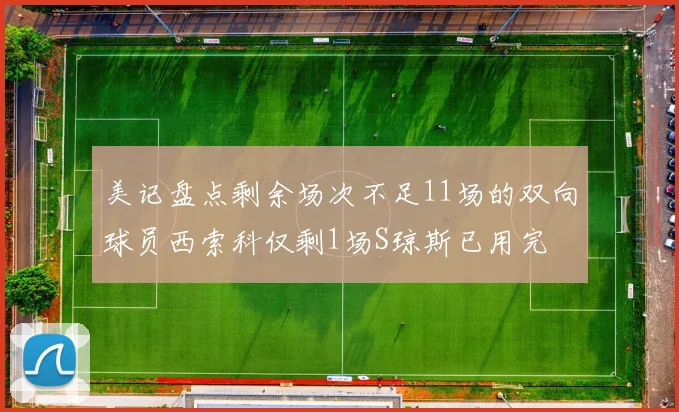 美记盘点剩余场次不足11场的双向球员西索科仅剩1场S琼斯已用完