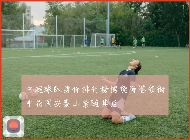 中超球队身价排行榜揭晓海港领衔申花国安泰山紧随其后