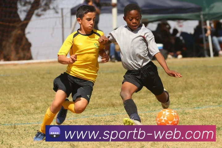 B体育APP 高清赛事图